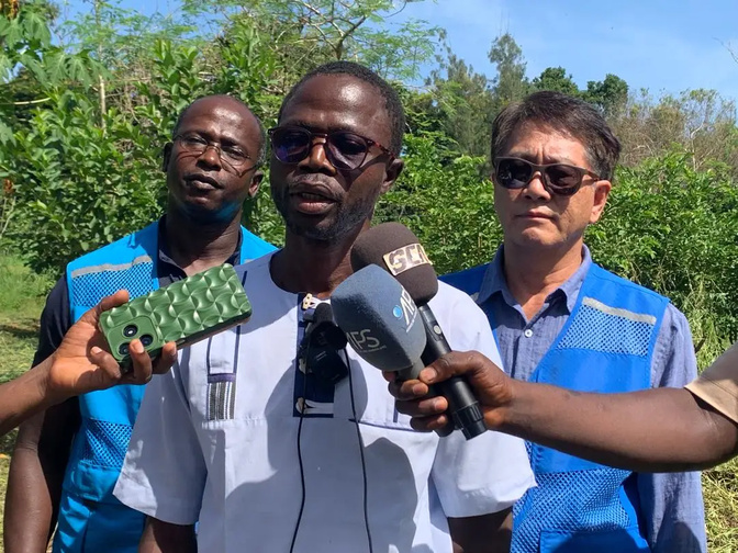 Riziculture : le projet coréen KOPIA présenté aux acteurs de la filière au Sénégal